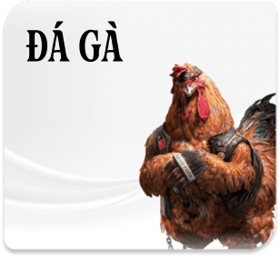 ĐÁ GÀ