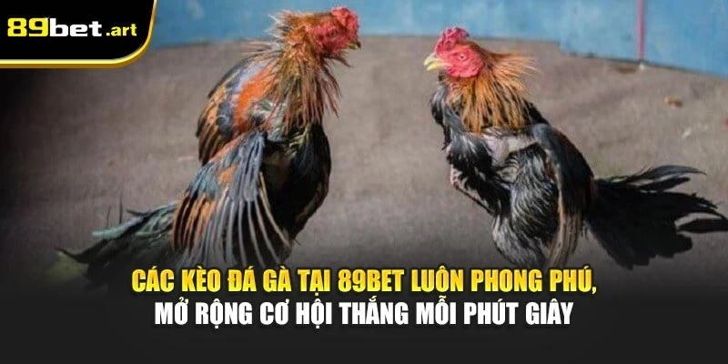 Các kèo đá gà tại 89Bet luôn phong phú, mở rộng cơ hội thắng mỗi phút giây