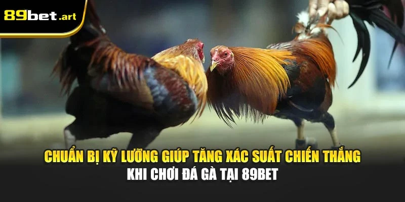 Chuẩn bị kỹ lưỡng giúp tăng xác suất chiến thắng khi chơi đá gà tại 89Bet