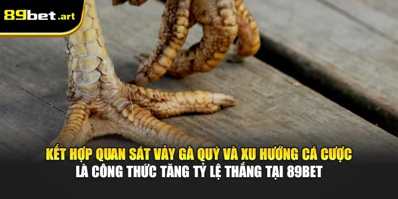 Kết hợp quan sát vảy gà quý và xu hướng cá cược là công thức tăng tỷ lệ thắng tại 89Bet
