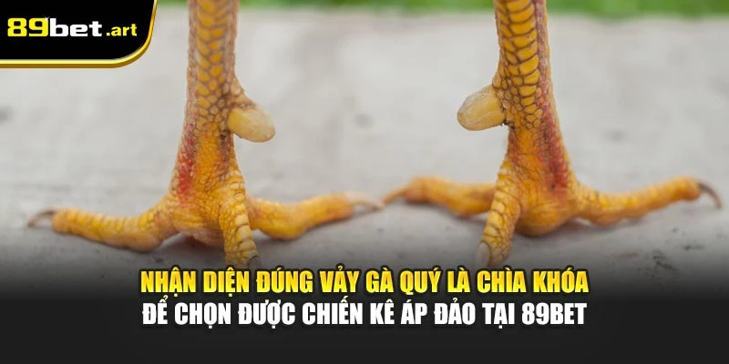 Nhận diện đúng vảy gà quý là chìa khóa để chọn được chiến kê áp đảo tại 89Bet