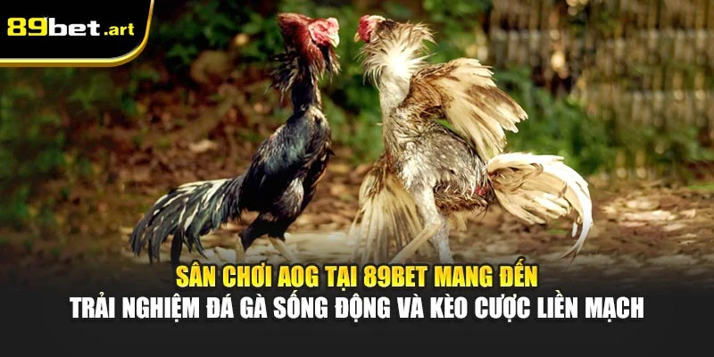 Sân chơi AOG tại 89Bet mang đến trải nghiệm đá gà sống động và kèo cược liền mạch