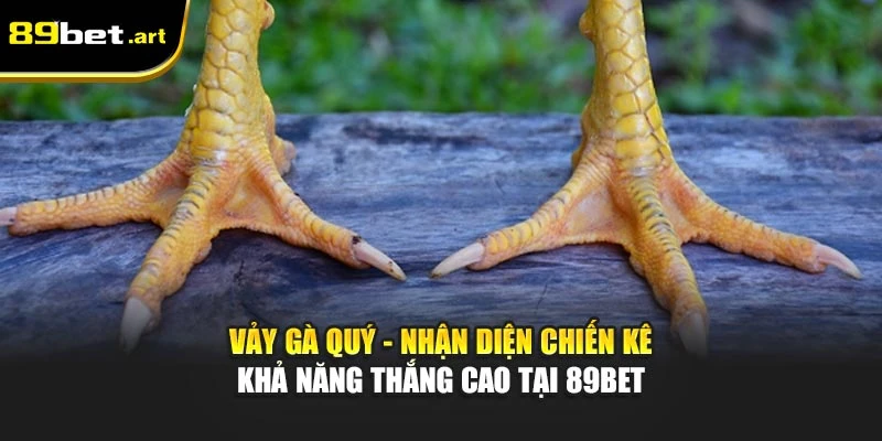 Vảy Gà Quý - Nhận Diện Chiến Kê Khả Năng Thắng Cao Tại 89Bet