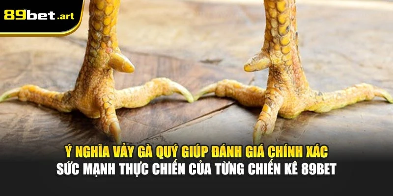 Ý nghĩa vảy gà quý giúp đánh giá chính xác sức mạnh thực chiến của từng chiến kê 89Bet